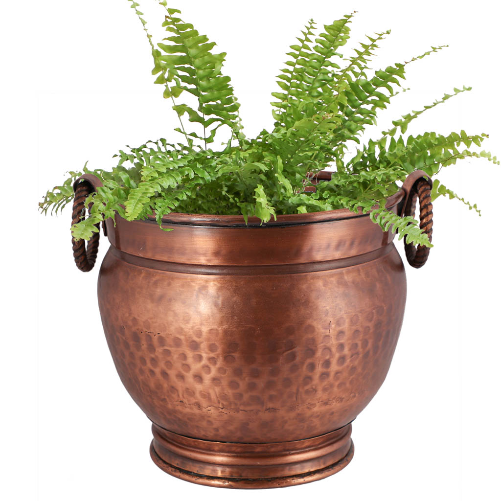large garden planter