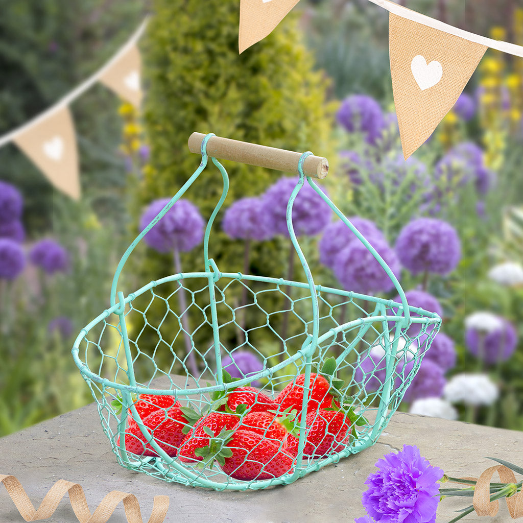 summer picnic basket