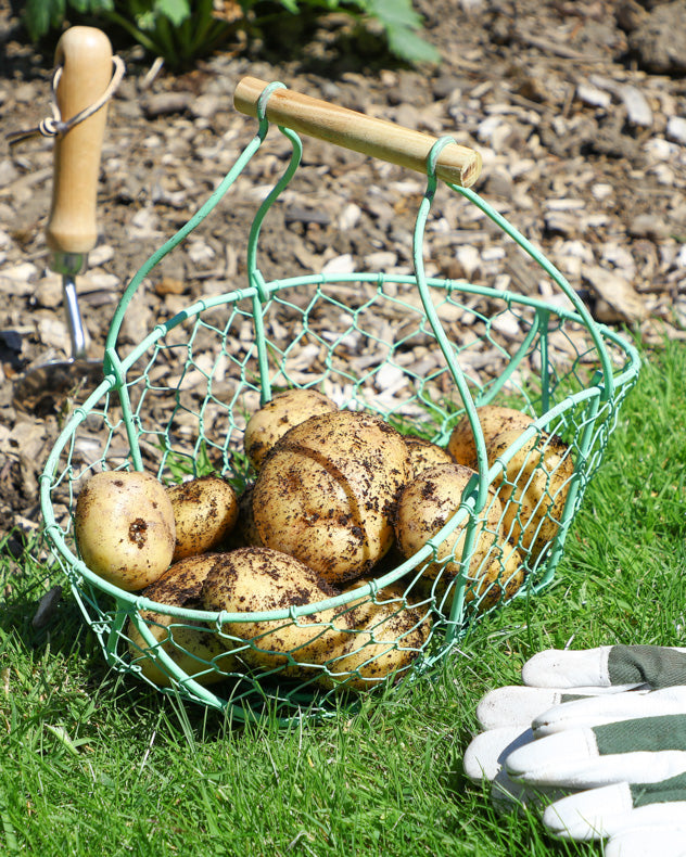 garden and kitchen storage basket