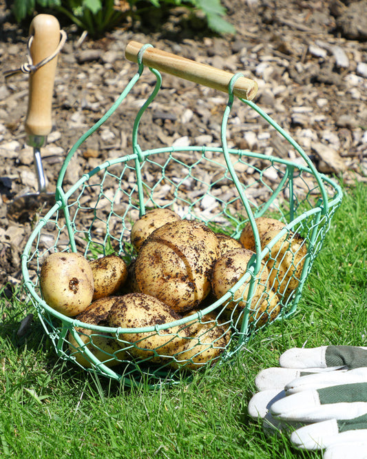 garden and kitchen storage basket