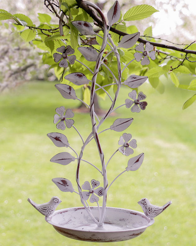 hanging bird feeder