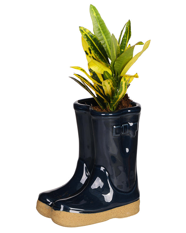 Ceramic Welly Planter Collection