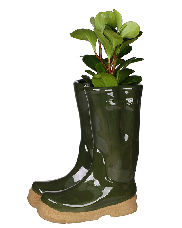 Ceramic Welly Planter Collection