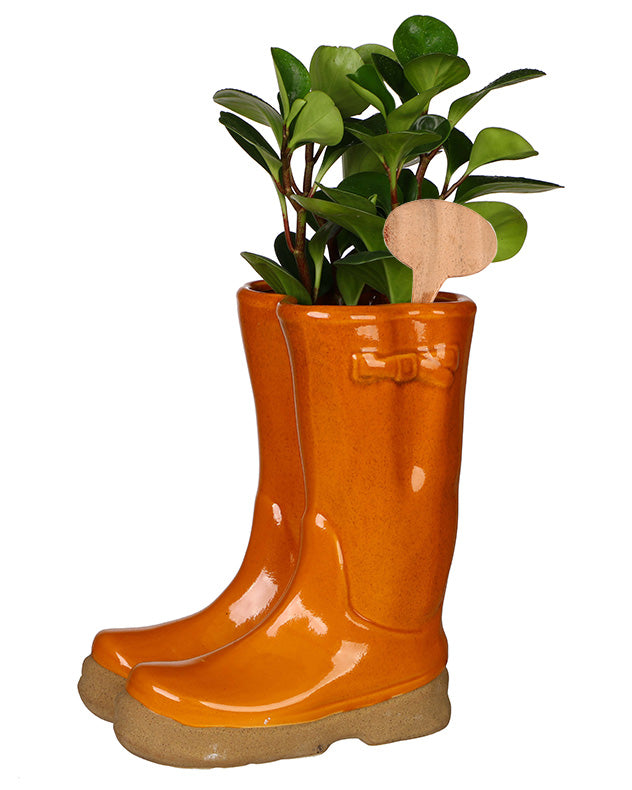 Ceramic Welly Planter Collection