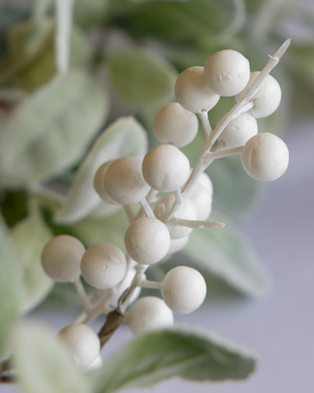 white winter berry