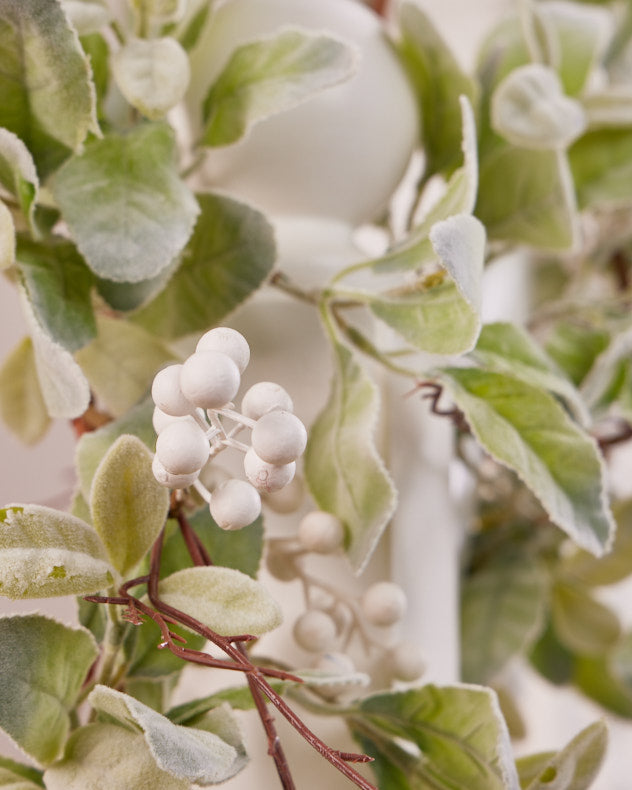 white berry and lambs ear