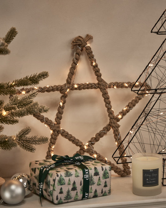 Winter Wishes Star Christmas Light