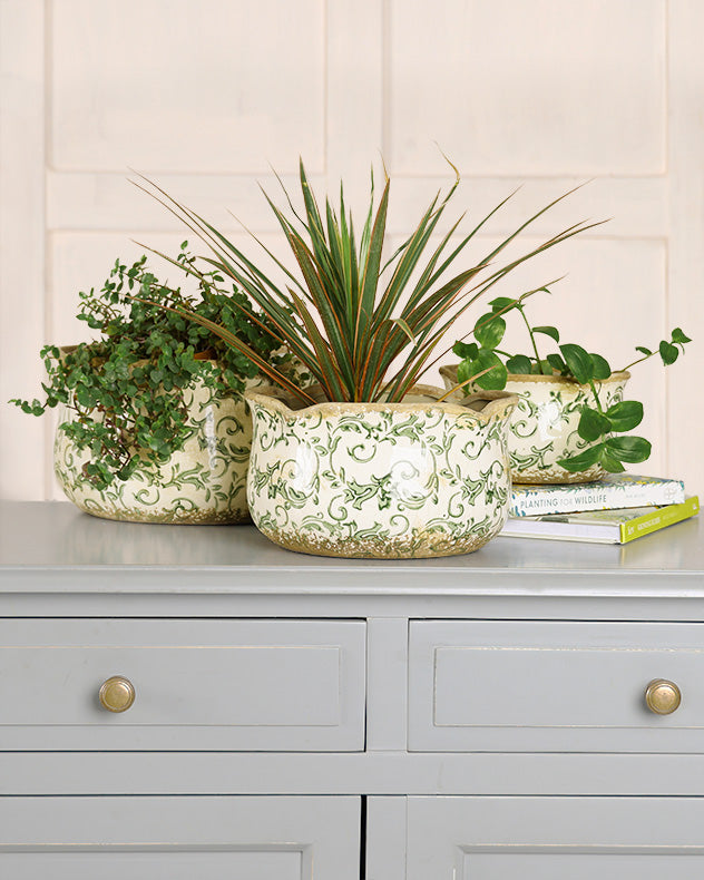 Set of 3 Florence Ceramic Planters