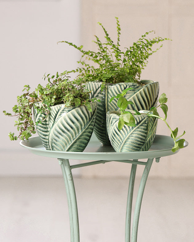 green leaf botanic indoor planters