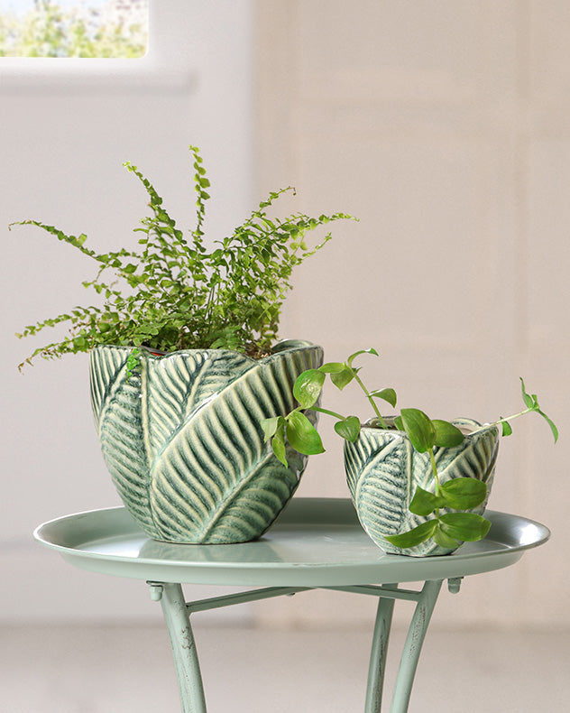 botanic planters set of 3