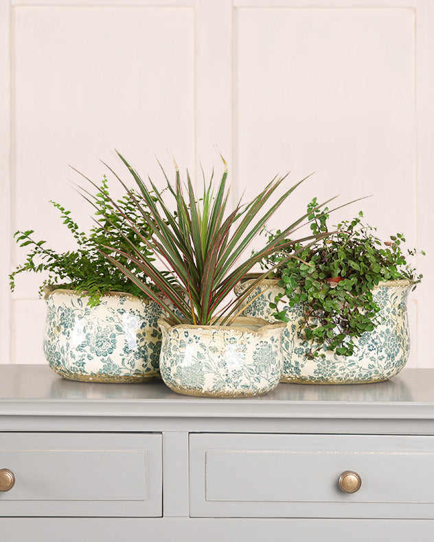 Set Of Three Floral Field Ceramic Planters