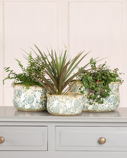 Set Of Three Floral Field Ceramic Planters