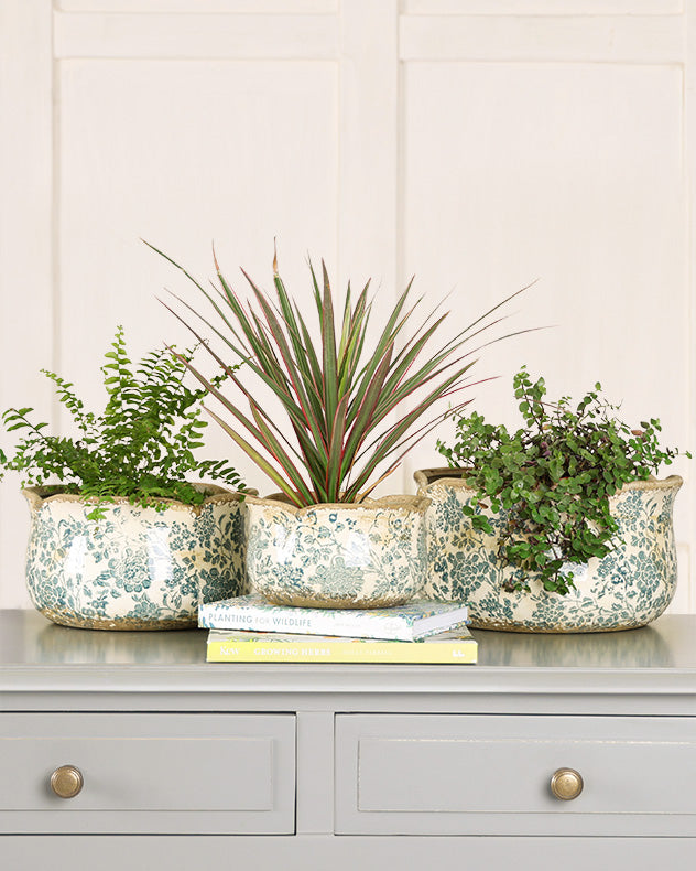 Set Of Three Floral Field Ceramic Planters
