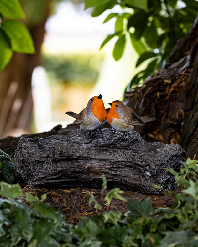 Rocking Robin Bird Feeder