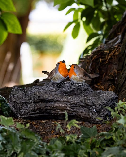 Rocking Robin Bird Feeder