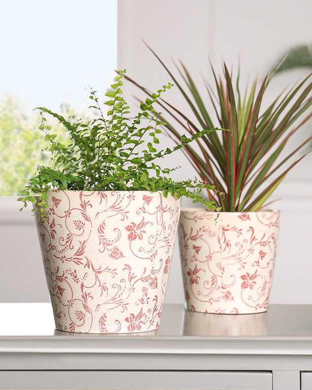 Set of Two Crimson Botanic Planters