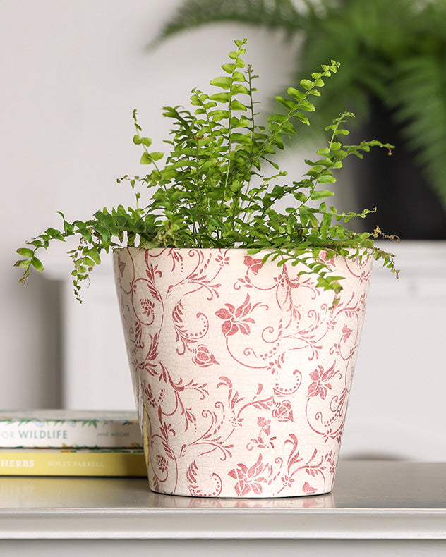 Set of Two Crimson Botanic Planters