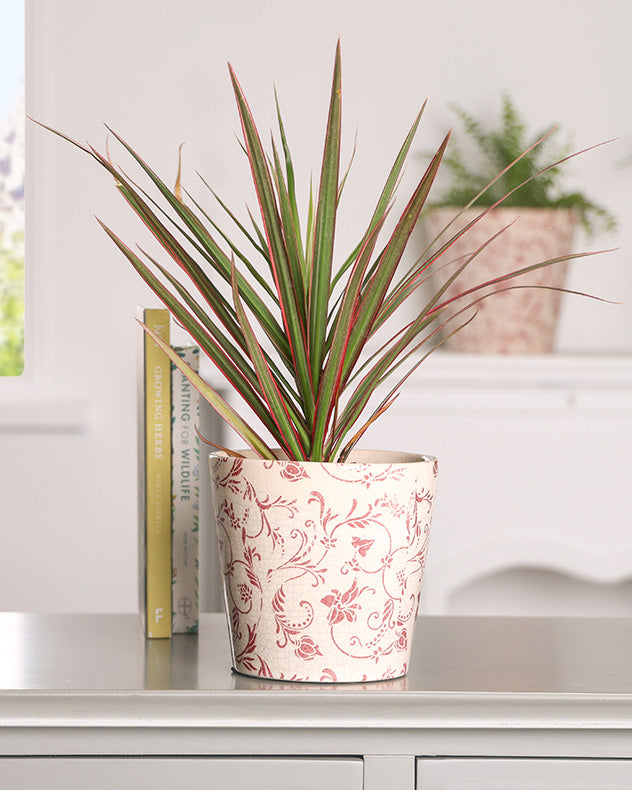 Set of Two Crimson Botanic Planters