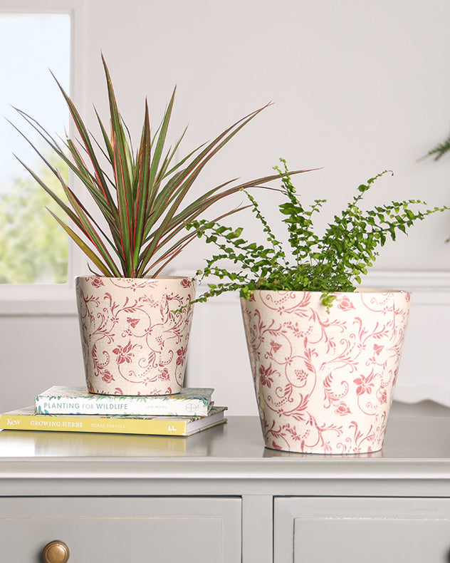 Set of Two Crimson Botanic Planters
