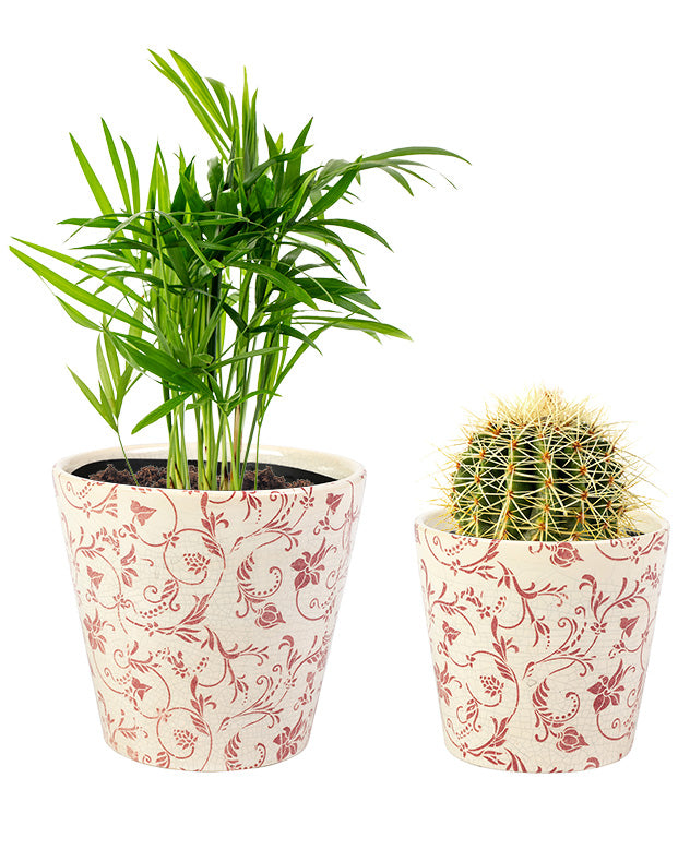 Set of Two Crimson Botanic Planters