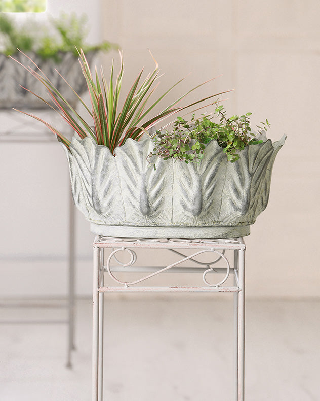 foliate set of 3 botanic planters