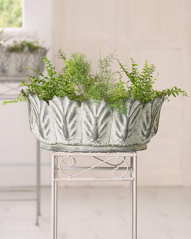 botanic planters