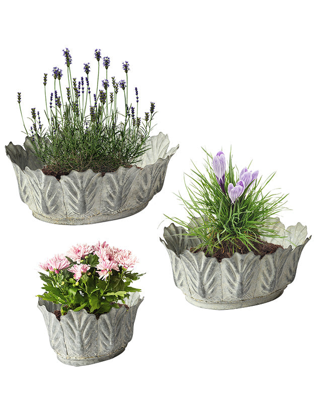 indoor botanic planters