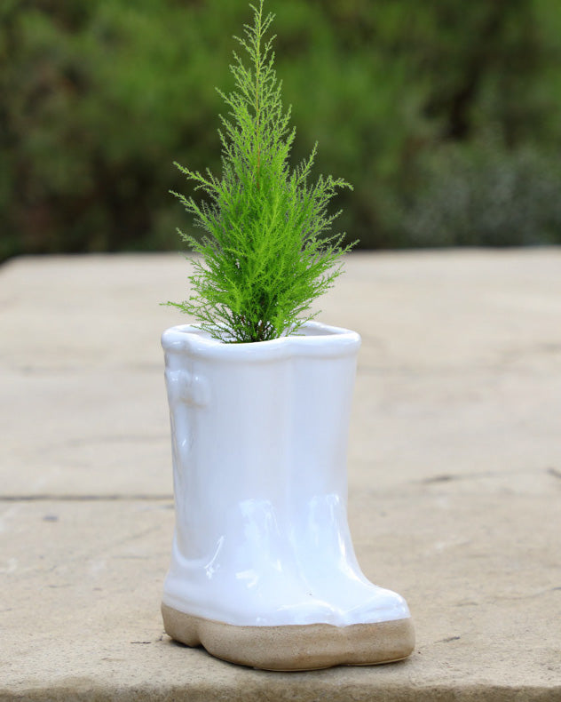 Ceramic Welly Planter Collection