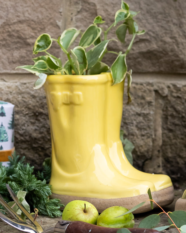 Ceramic Welly Planter Collection