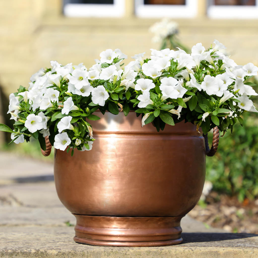 summer outdoor flower planter