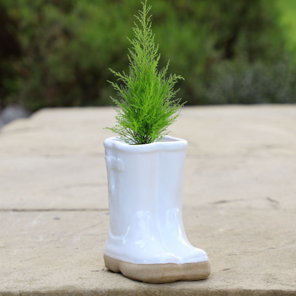 Small Novelty Planter
