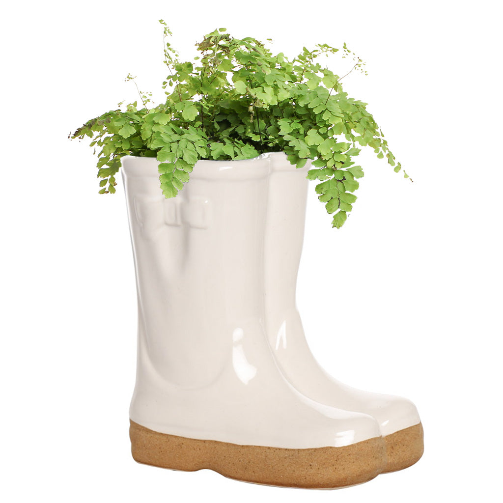 ceramic wellies planter