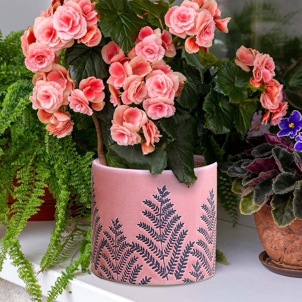 pink ceramic plant pot