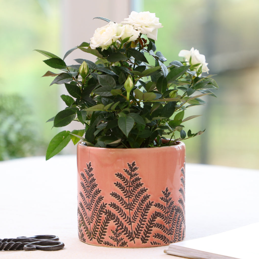 Blush Pink Fern Ceramic Planter Pot