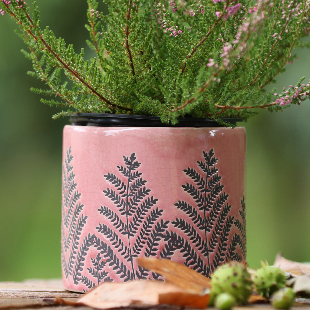 PINK HEBE PLANTER