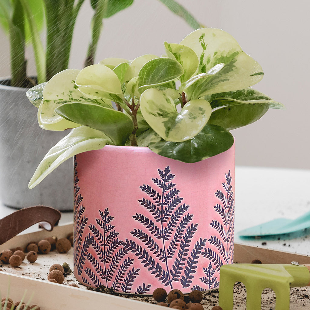 summer garden planter
