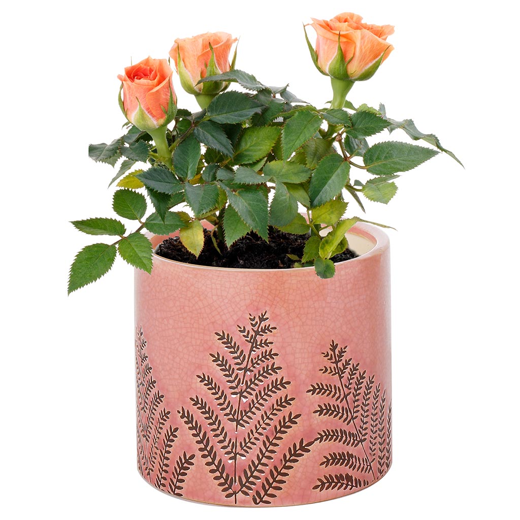 flower planter pot