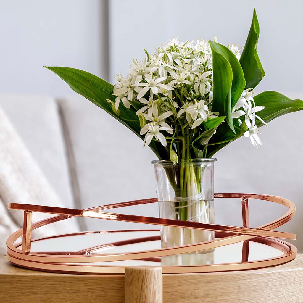 coffee table tray