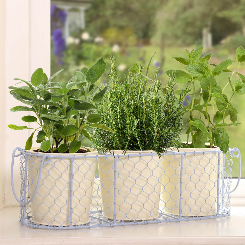 Pastel Blue and Country Cream Windowsill Herb Planters