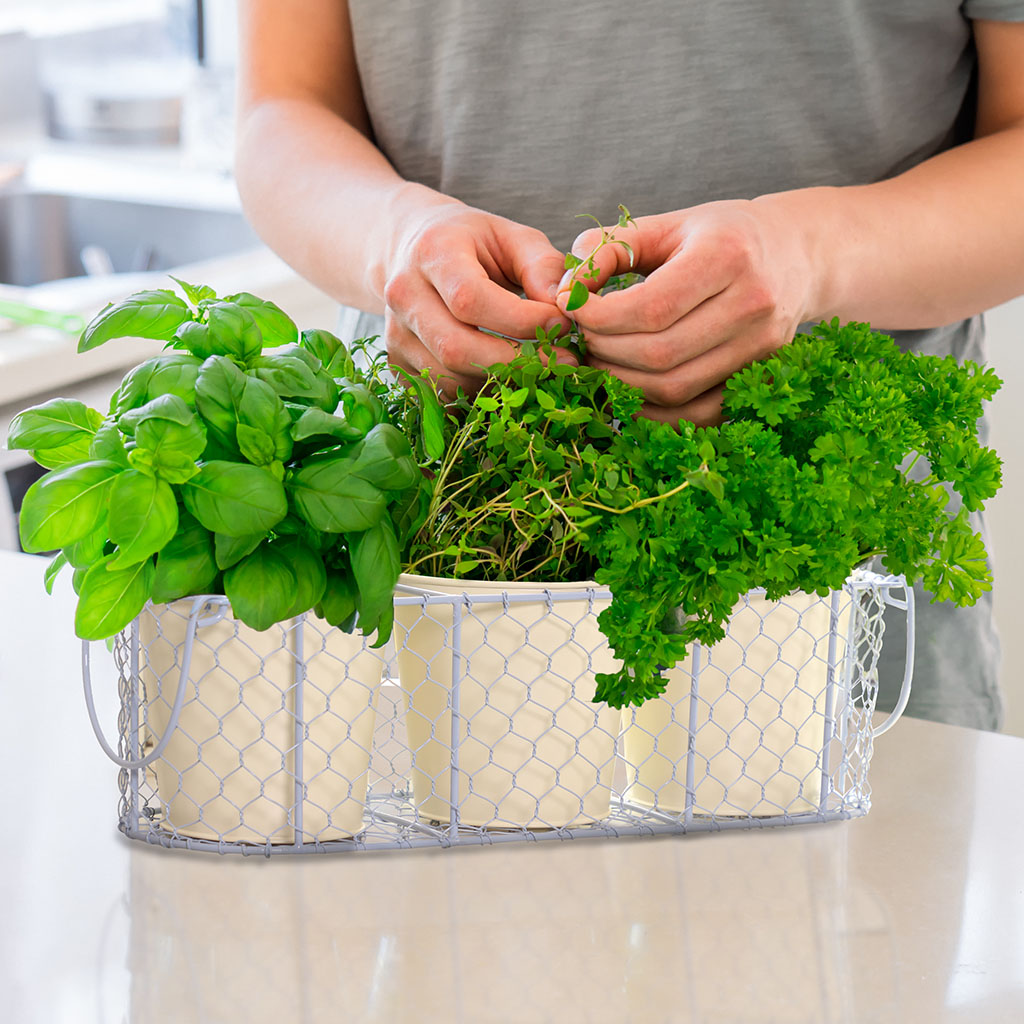 kitchen her planters