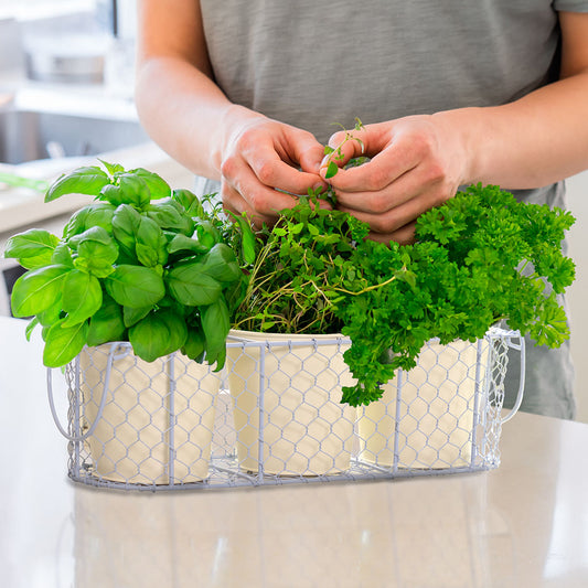 kitchen her planters