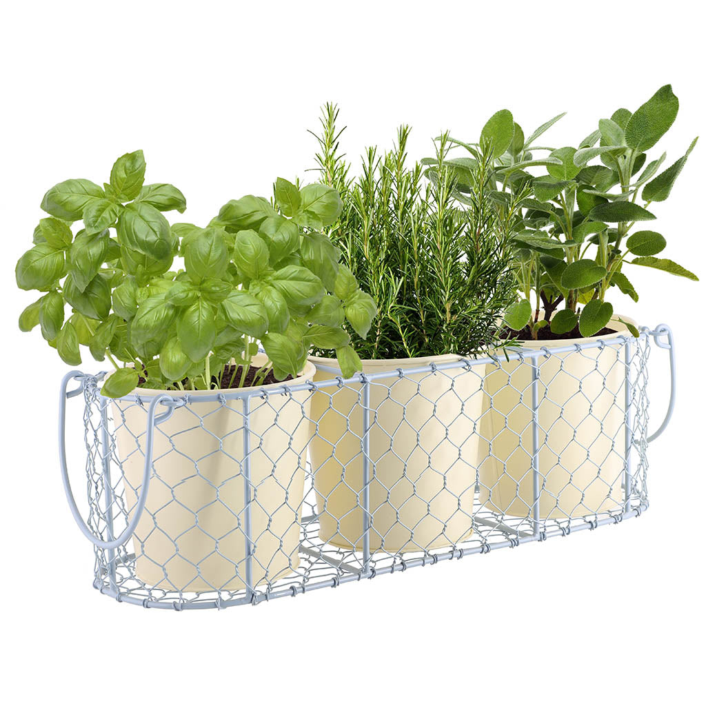 Three Indoor Planters Inside of a Handwoven Caged Holder