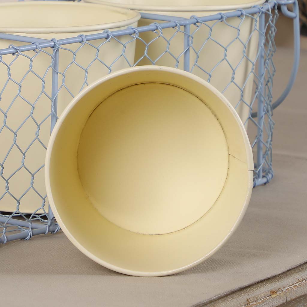 Cottage Cream Plant Storage