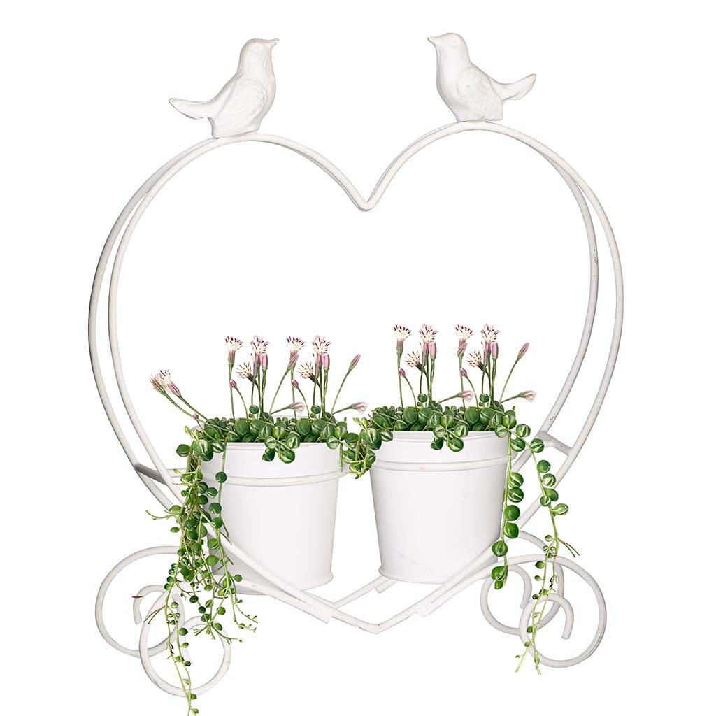 Love Birds Centrepiece Planter
