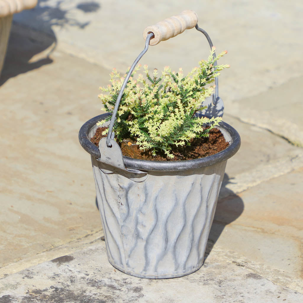 summer garden planter pots