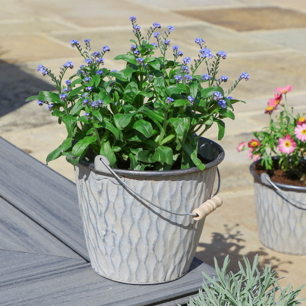 bucket plant pot set