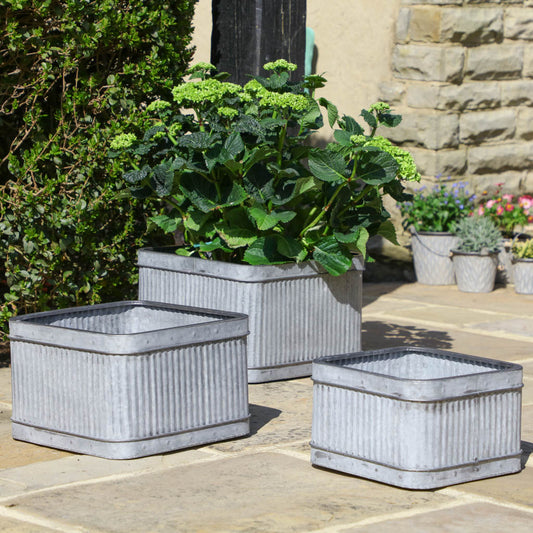 industrial style flower pots