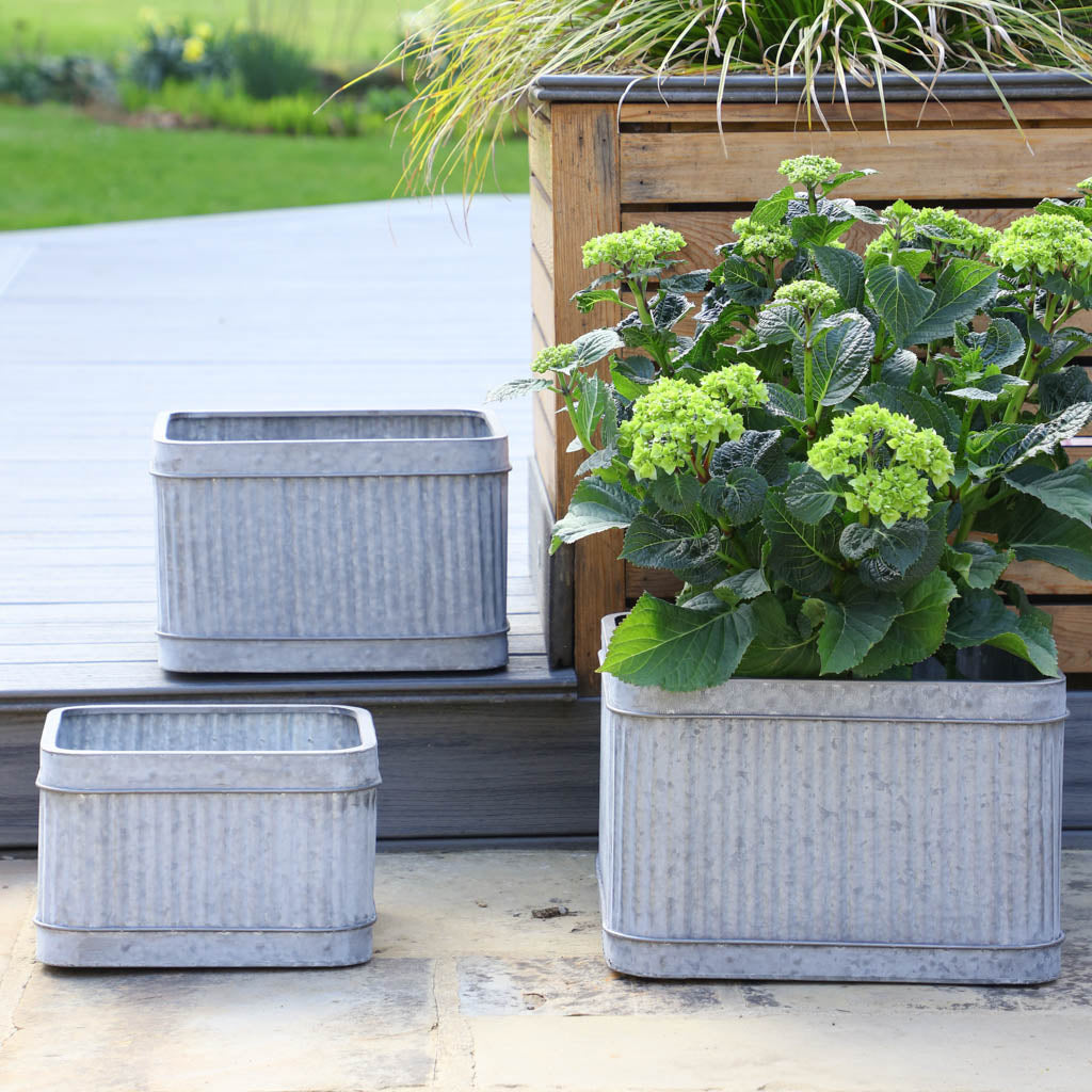 metal tub plant pots