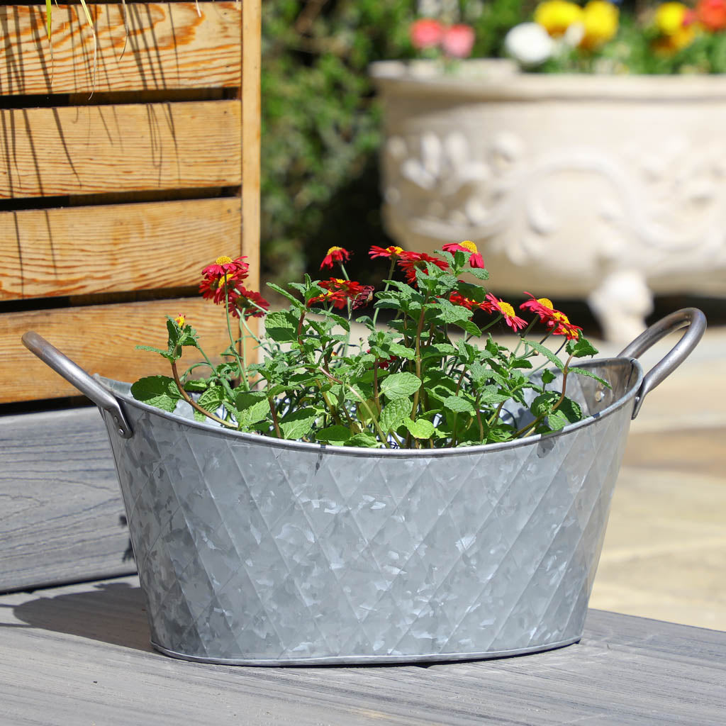Vintage Washtub Garden Trough Planter