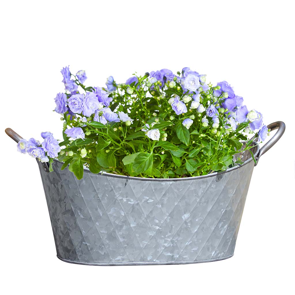 Vintage Washtub Garden Trough Planter